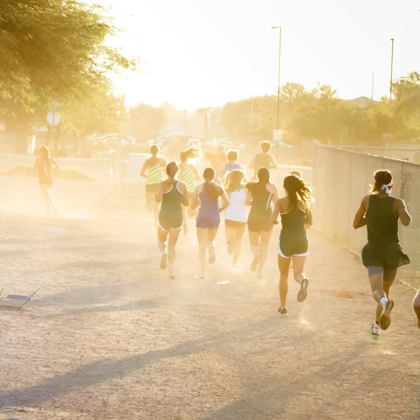 Introducing MyTribes: Where Community Meets Physical Activity