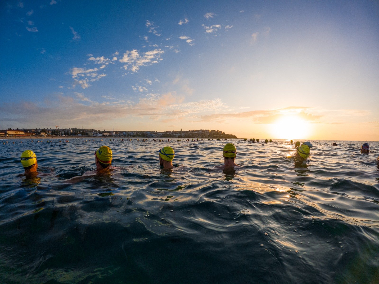 BONDI SALTIES